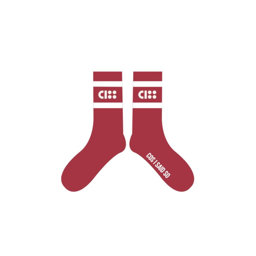 SOCKS COS I SAID SO RED