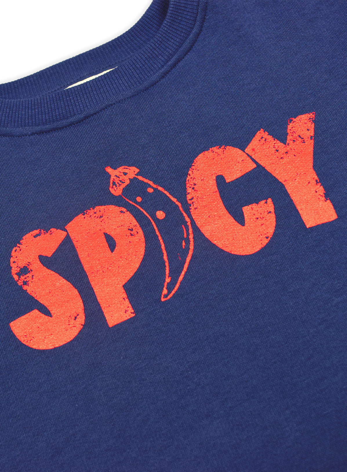 AM RIFF 02 SWEATER SPICY