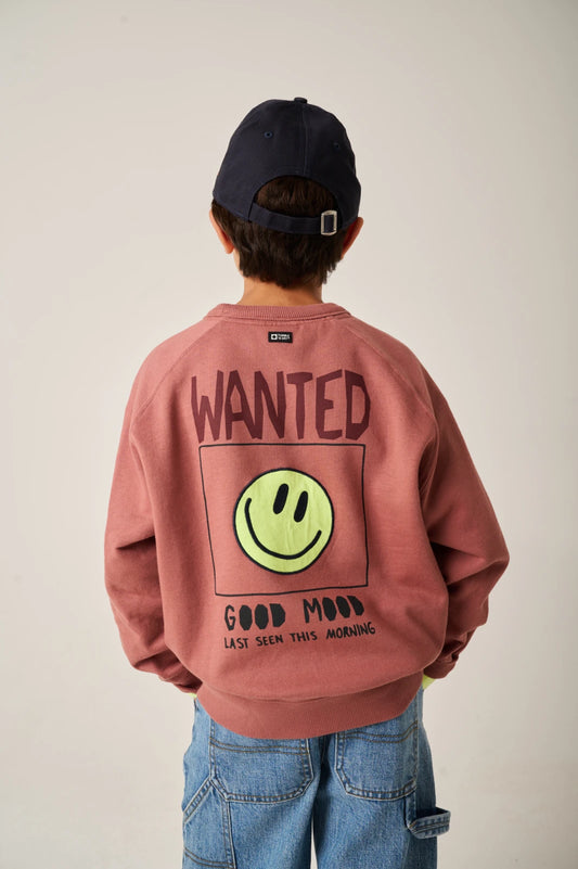 SWEATER REBOUND BRUINROOD