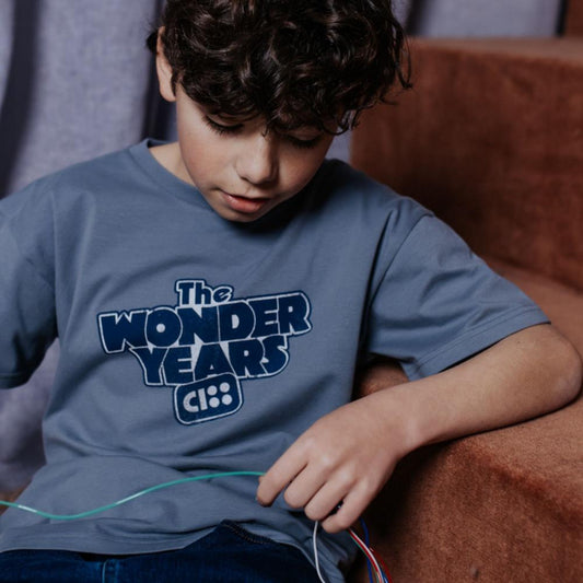 T-SHIRT WONDER YEARS STONE