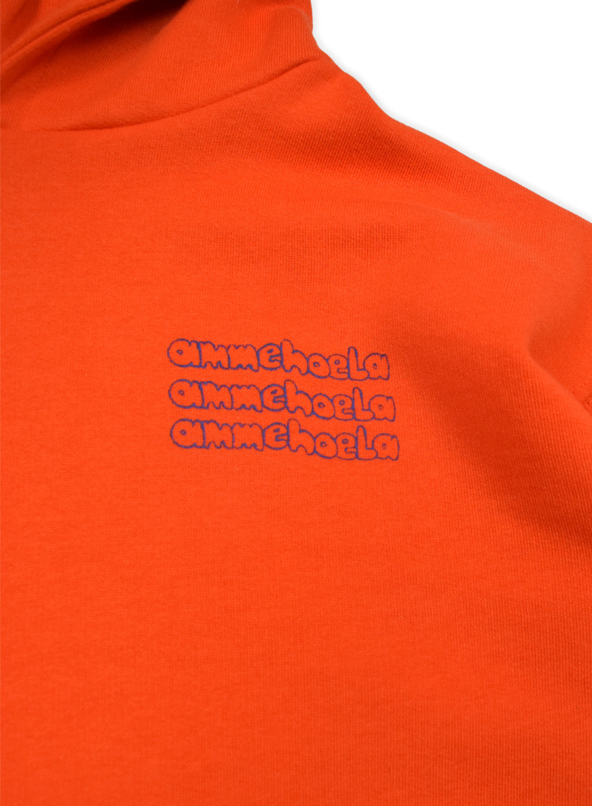 AM ERNEST 19 HOODY