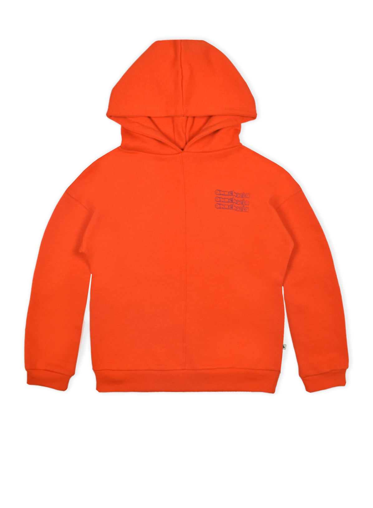 AM ERNEST 19 HOODY