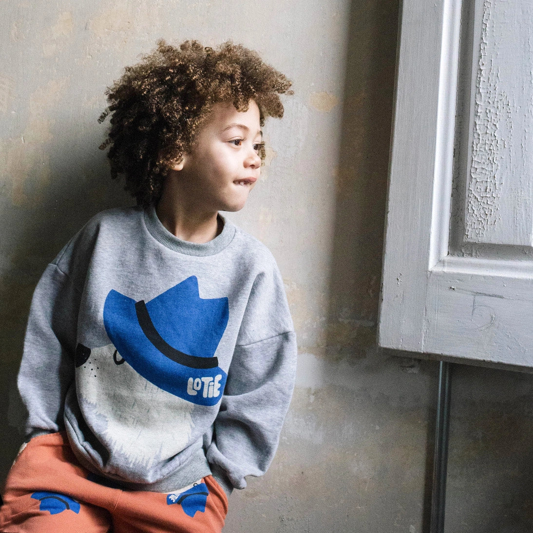 SWEATSHIRT CHILL DOG GREY