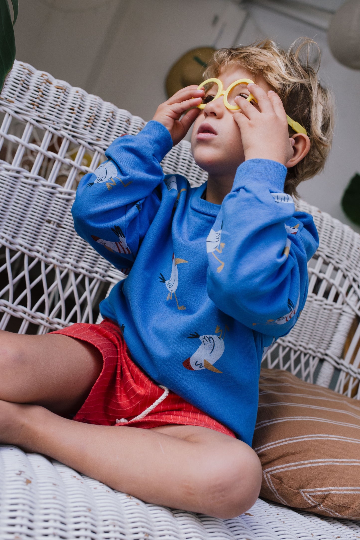 SWEATSHIRT SEAGULLS ALL OVER ROYAL BLUE