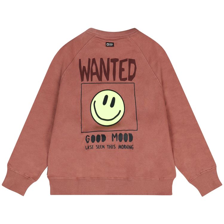 SWEATER REBOUND BRUINROOD