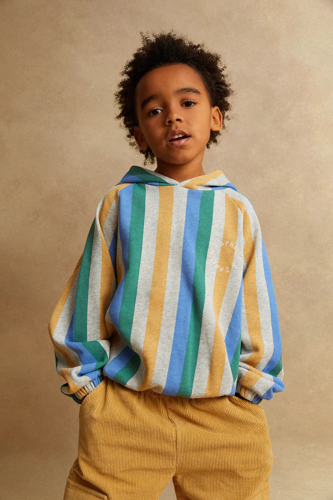 SWEATSHIRT HOODY STRIPES GREY