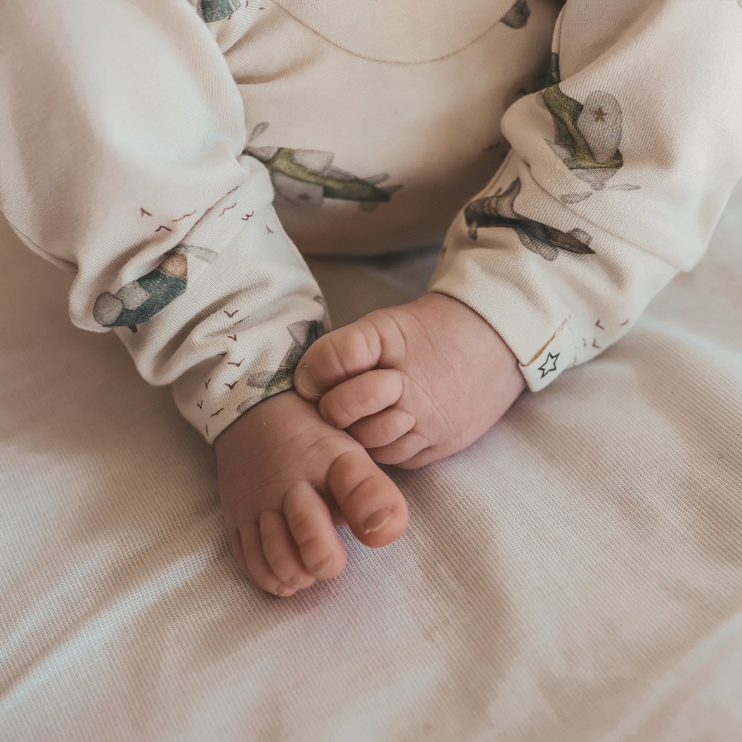 AVION FITTED PANTS BIRCH